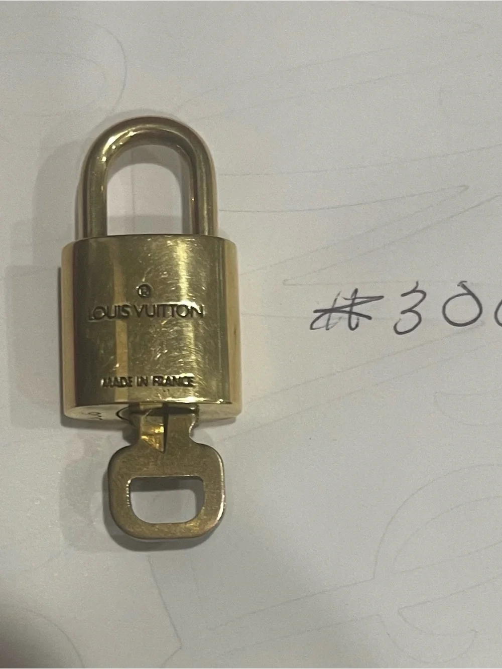 Louis Vuitton authentic louis